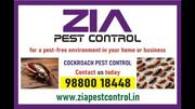 Cockcroach Pest Control | 100% Result | Safe 
